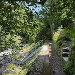 Les Cedres