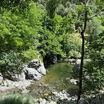 Les Cedres Vakantiehuis *