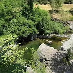 Les Cedres Valleraugue