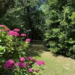 Les Cedres * Valleraugue