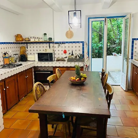 Les Cèdres