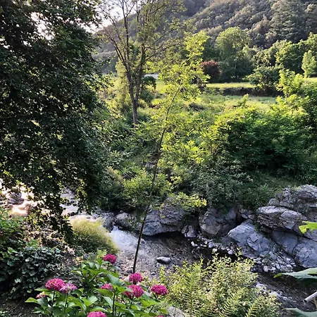 Les Cedres בית נופש