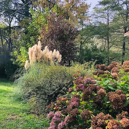 בית נופש Les Cedres ואלרוג