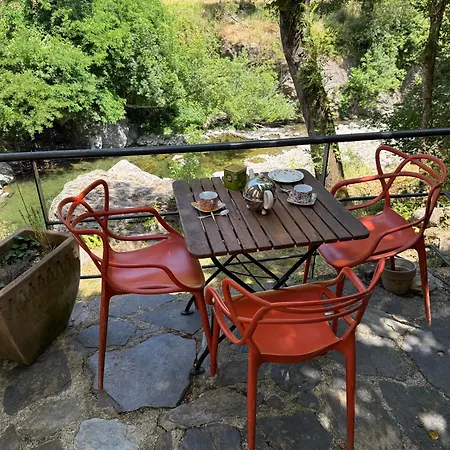 Les Cedres בית נופש ואלרוג