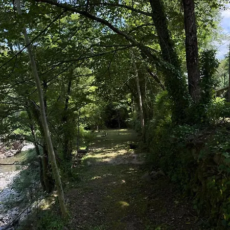 Les Cedres