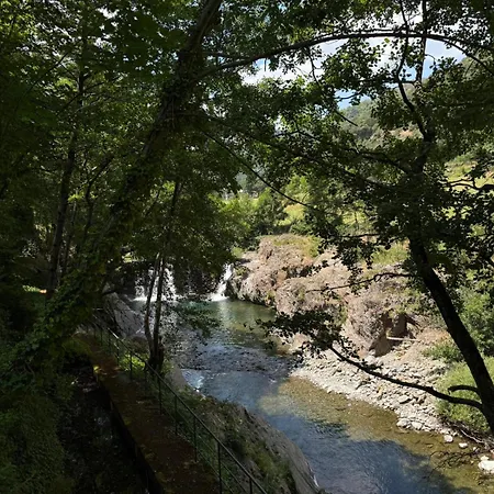 Les Cedres *