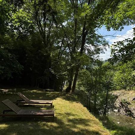 Les Cèdres Valleraugue