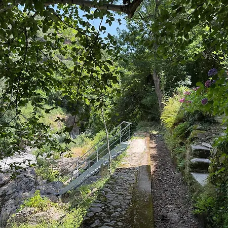 Les Cedres