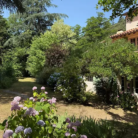 Les Cedres *