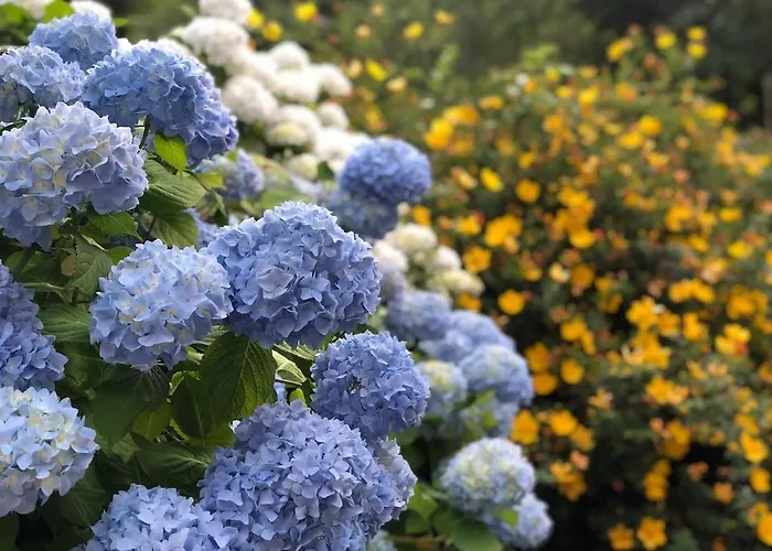 Casa vacanze Les Cèdres