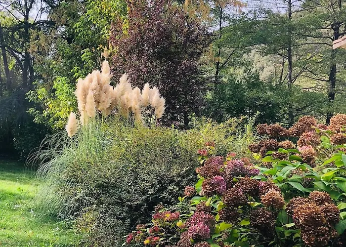 Casa vacanze Les Cèdres Valleraugue