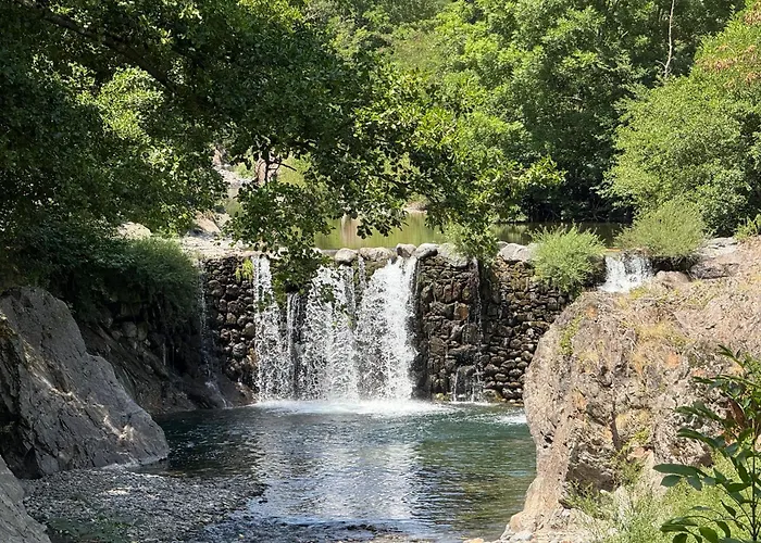 Les Cedres * Valleraugue