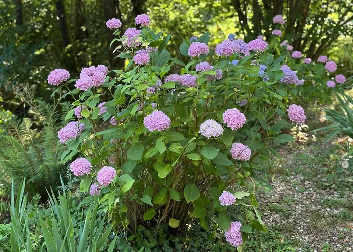 Prázdninový dům Les Cedres *