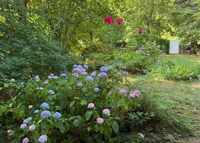 Les Cedres Prázdninový dům