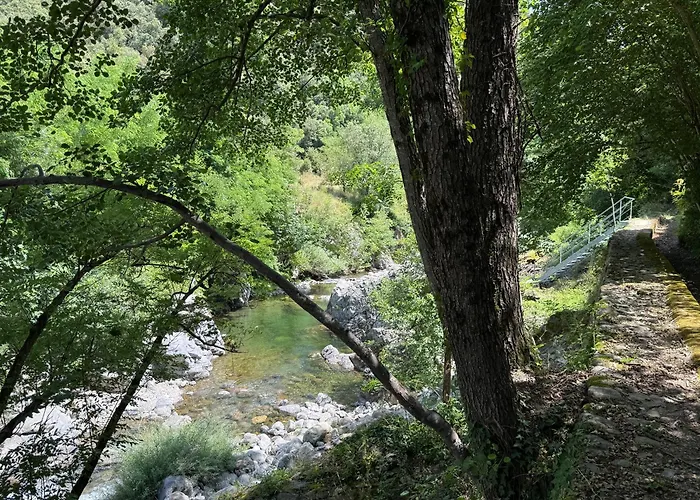 Les Cedres * Valleraugue