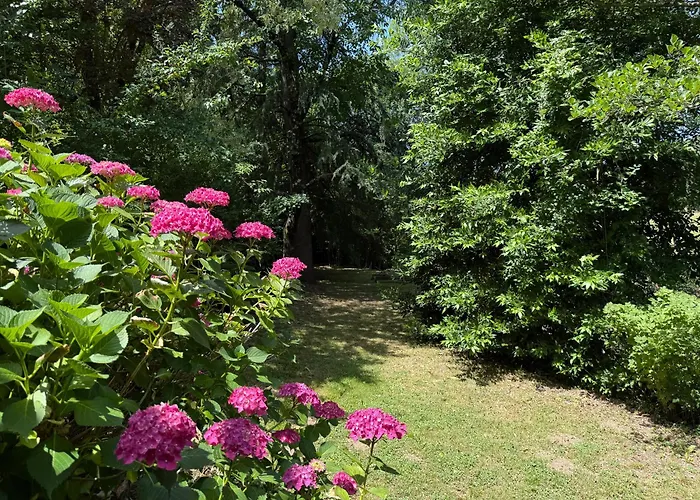 Les Cedres * Valleraugue